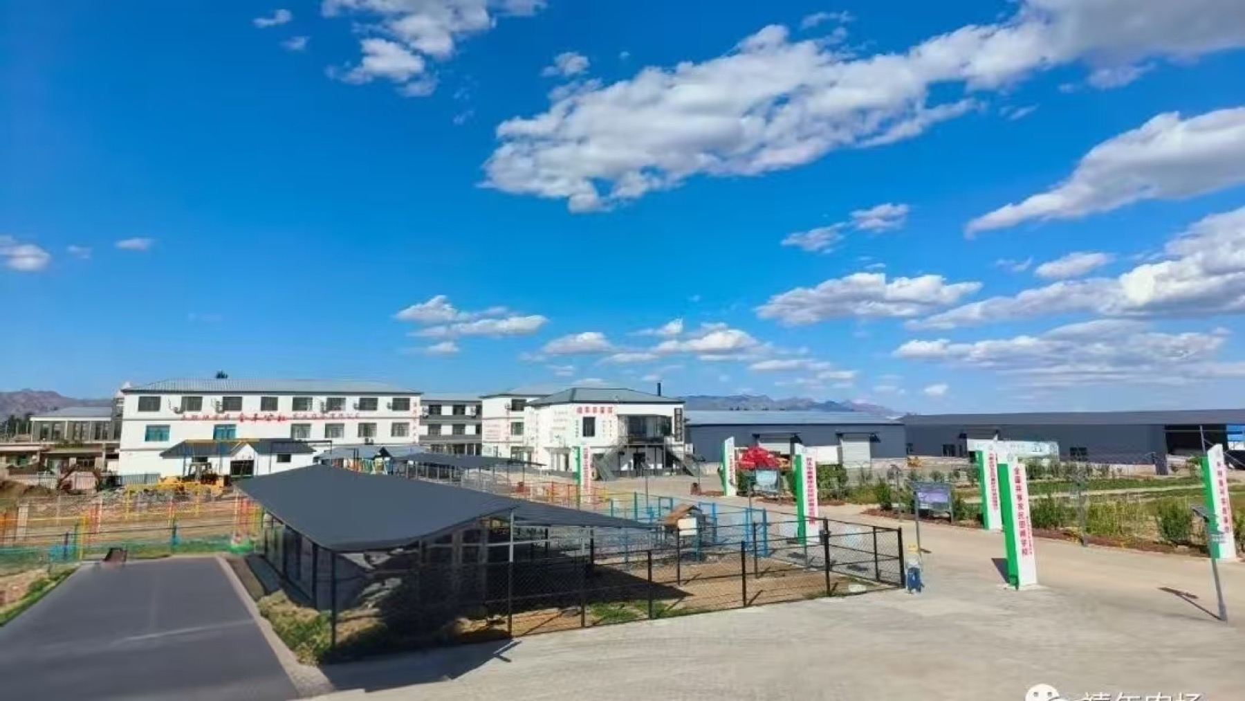 主楼、入口与配套空间一体呈现项目日常场景