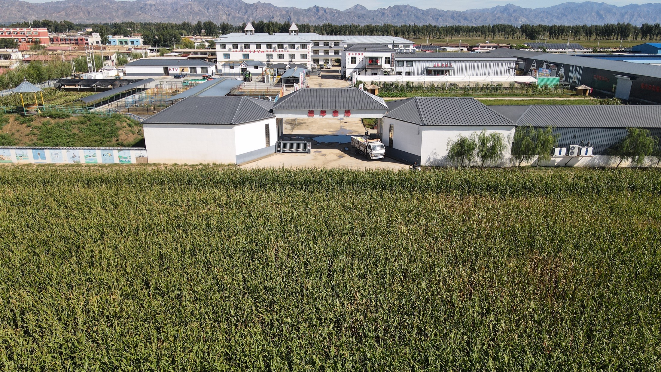 乡村振兴与养老服务的复合样板